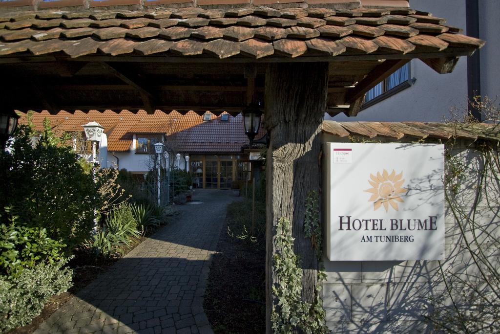 Hotel Blume Freiburg im Breisgau Exterior foto